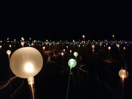 226. See the Field of Light show at Uluru